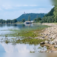 Nicht nur an der Donau sind die Wasserstände derzeit ungewöhnlich niedrig. (Archivbild) (Foto: Armin Weigel/dpa)