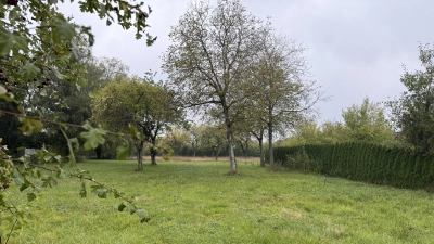 In unmittelbarer Nachbarschaft zum Friedhof am Martinsberg könnte ein Baugebiet mit Blick über Herriedens Altstadt und das Altmühltal entstehen. (Foto: Susanne Pöhlmann)