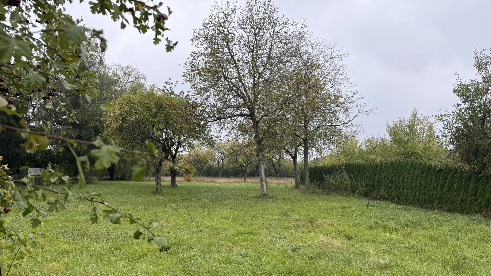 In unmittelbarer Nachbarschaft zum Friedhof am Martinsberg könnte ein Baugebiet mit Blick über Herriedens Altstadt und das Altmühltal entstehen. (Foto: Susanne Pöhlmann)
