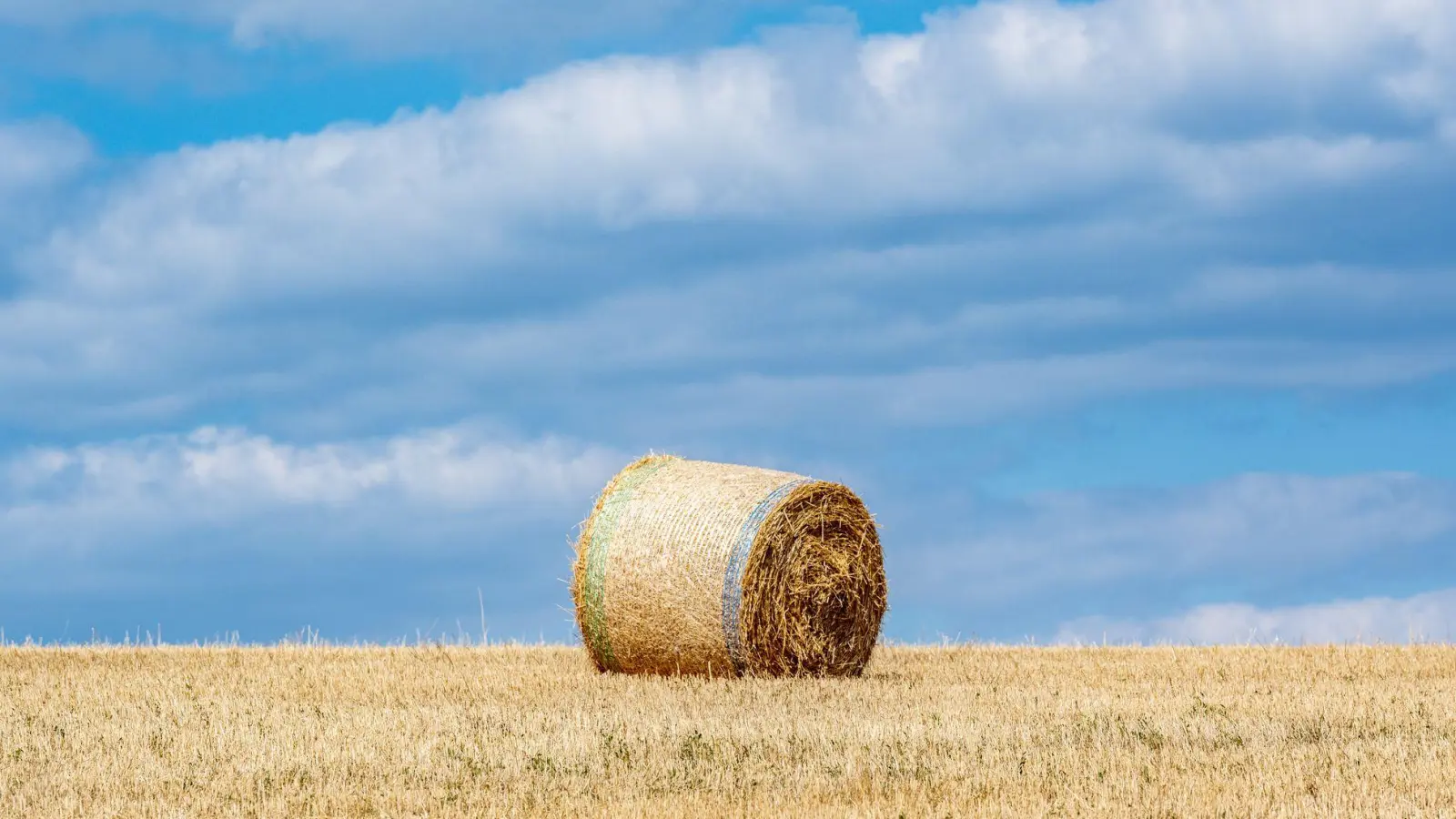 Der entstandene Schaden an der Maschine und am Feld ist groß. (Symbolbild) (Foto: Armin Weigel/dpa)