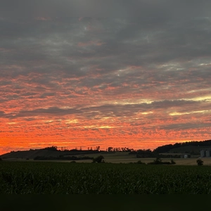 Kapellberg in Rot - gesehen von Ulsenheim aus (Foto: Heinrich Gärtner)