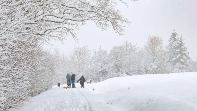 Äste oder Baumkronen können unter der Schneelast brechen und sogar ganze Bäume umstürzen.  (Foto: Daniel Löb/dpa)