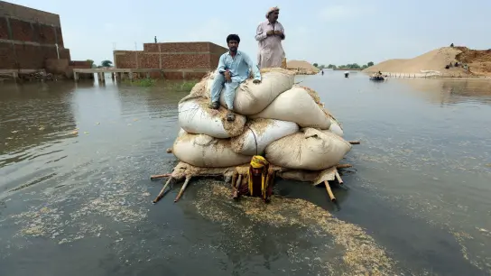 Opfer der Überschwemmungen benutzen einen behelfsmäßigen Lastkahn, um Heu für das Vieh zu transportieren. (Foto: Fareed Khan/AP/dpa)