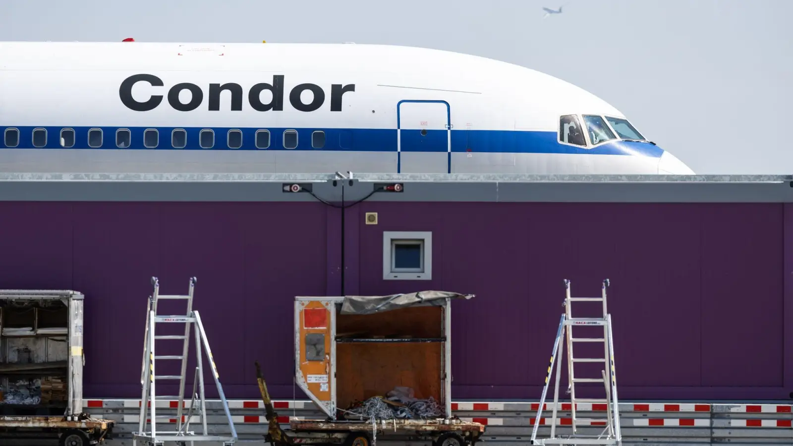 Ein Flugzeug von Condor (Archivbild). (Foto: Hannes P. Albert/dpa)