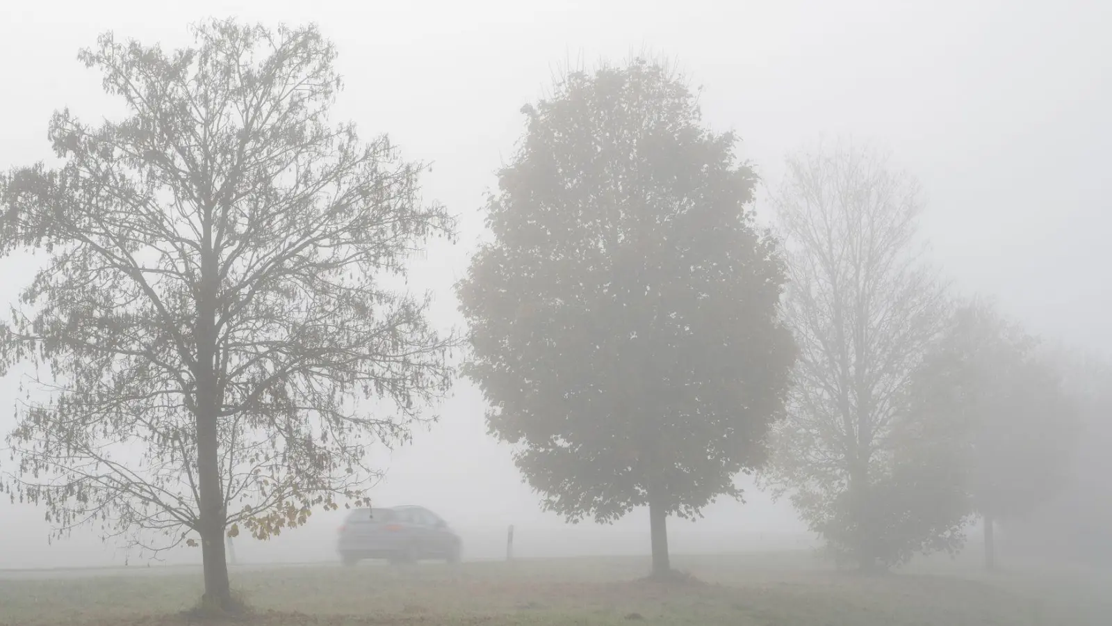 Nach einer kalten Nacht kann es in Bayern örtlich wieder zu Nebel kommen. (Archivbild) (Foto: Stefan Puchner/dpa)