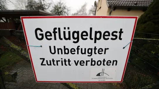 „Geflügelpest Unbefugter Zutritt verboten” steht auf einem Schild am Zaun eines betroffenen Hofes. (Foto: Bernd Wüstneck/dpa)