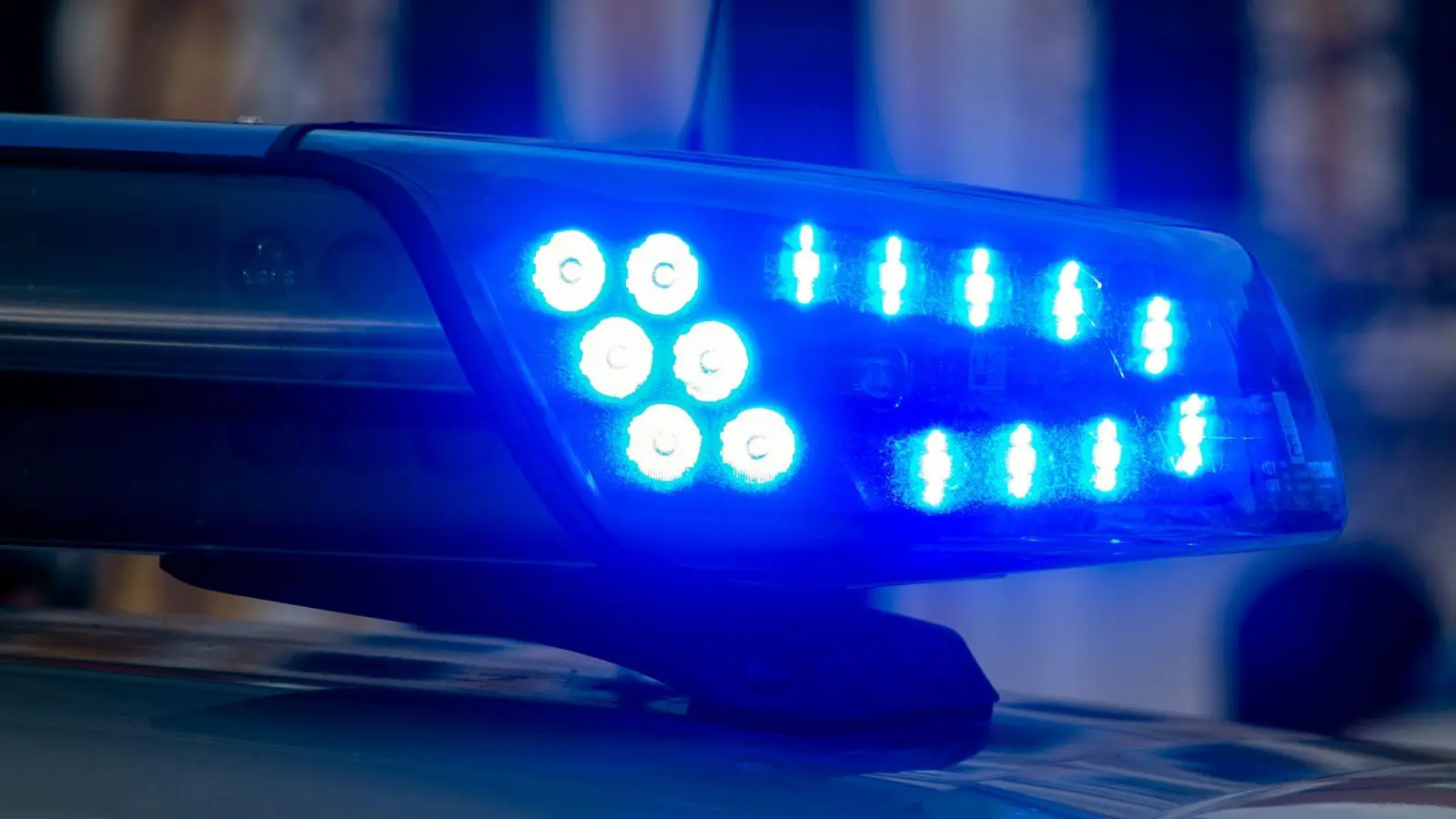 Die drei jungen Männer wurden trotz ihres Fluchtversuchs von der Polizei festgenommen. (Symbolbild)  (Foto: Klaus-Dietmar Gabbert/dpa-Zentralbild/dpa)