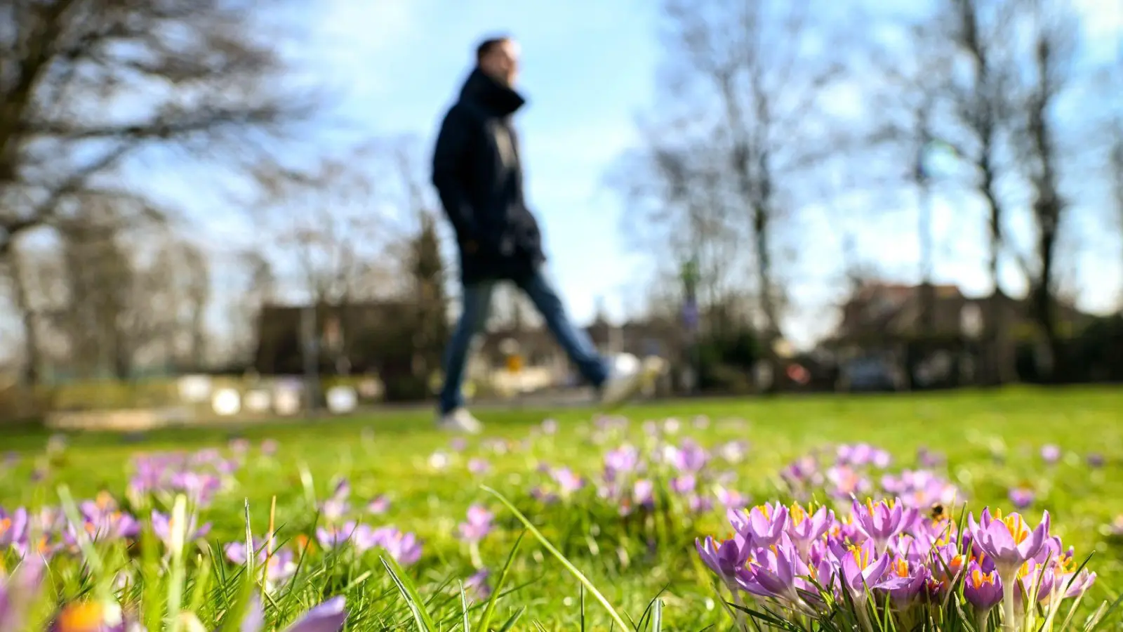 Frühlingsgefühle sind kein Mythos. Mehr Licht hebt die Stimmung – doch den Winterblues vertreibt, wer sich bewegt. (Foto: Sina Schuldt/dpa/dpa-tmn)