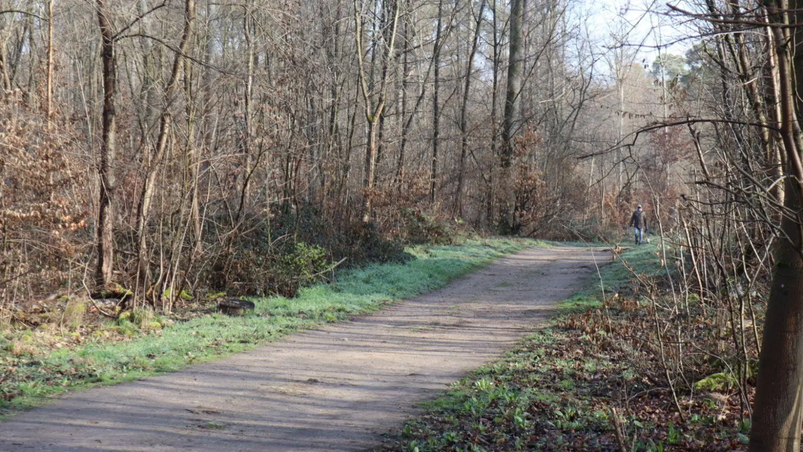 Die Ermittler haben erste Details nach dem Fund einer toten Frau in einem Wald bei Mannheim bekanntgegeben. (Foto: Rene Priebe/dpa)