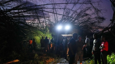Arbeiter räumen umgestürzte Bäume und Trümmer beiseite. (Foto: Matias Delacroix/AP/dpa)