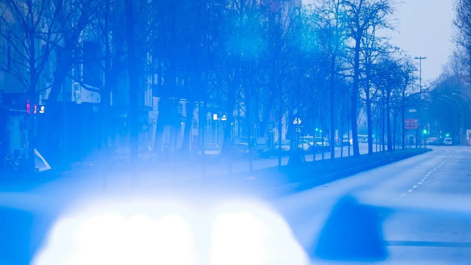 Ein Blaulicht leuchtet auf dem Dach eines Streifenwagens der Polizei. (Foto: Christoph Soeder/dpa/Symbolbild)
