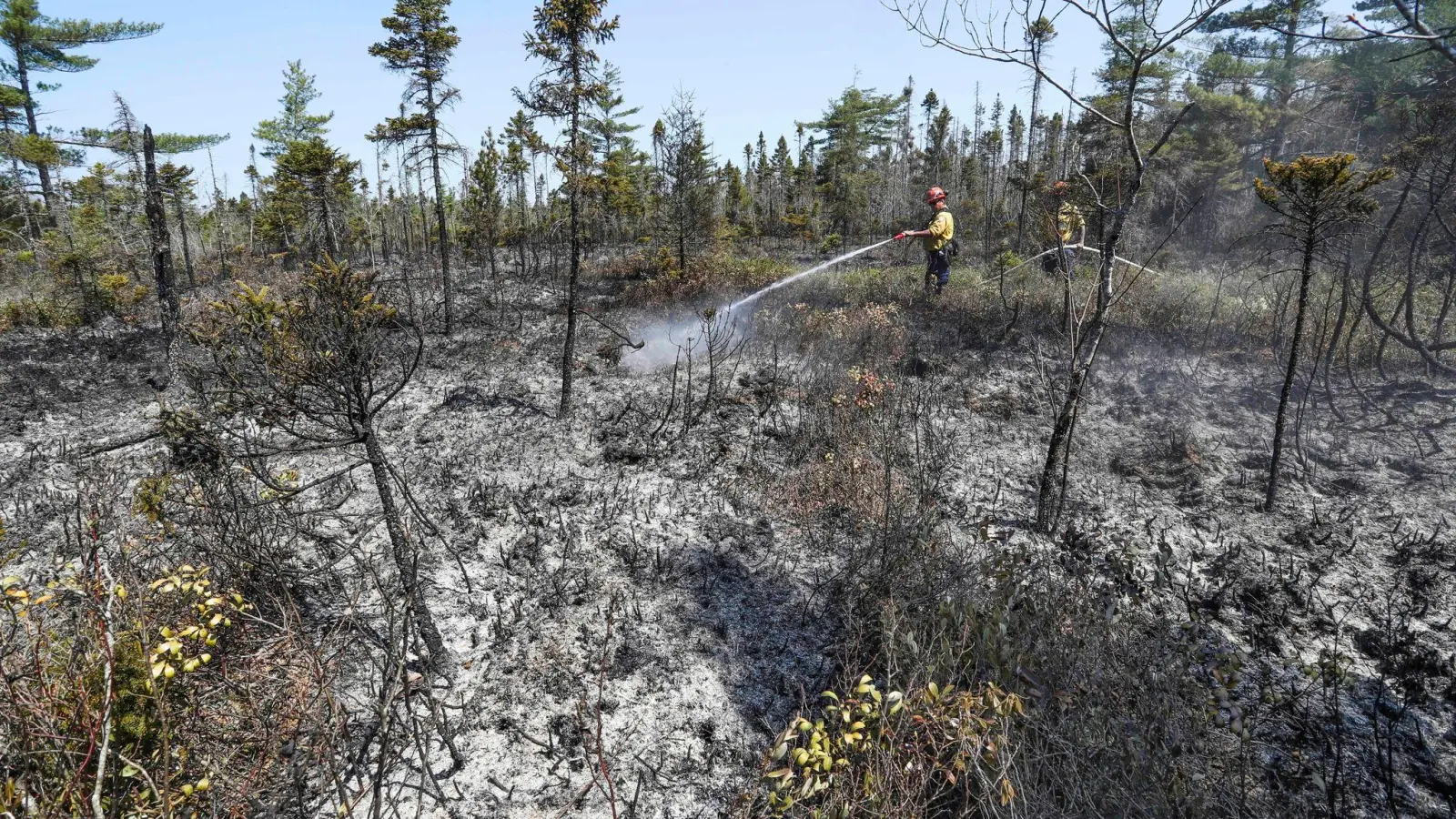 Einsatzkräfte bei Löscharbeiten in einem Waldgebiet in Kanada. (Foto: ---/Communications Nova Scotia via The Canadian Press/AP/dpa)