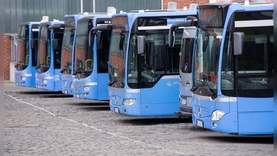 Die Münchner Verkehrsgesellschaft (MVG) wird den automatisiert fahrenden Bus testen. (Symbolbild) (Foto: Sven Hoppe/dpa)