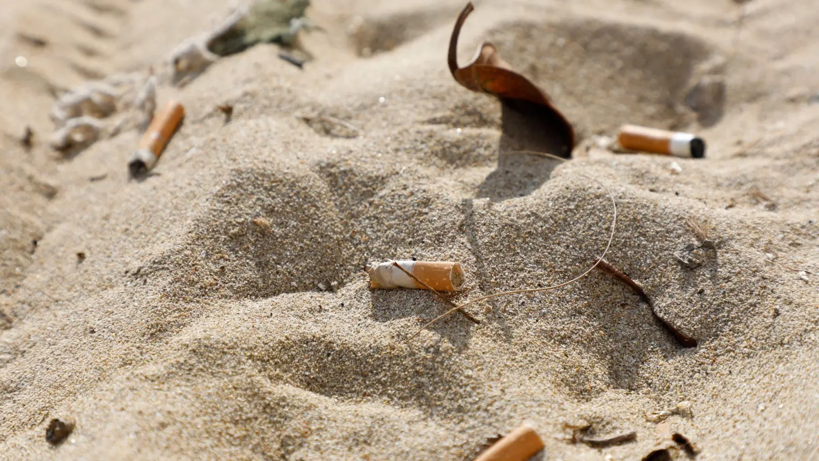 Zigarettenstummel verschmutzen den Strand von Arenal auf der spanischen Urlaubsinsel Mallorca. (Foto: Clara Margais/dpa)