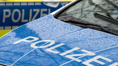 Die Polizei vermutet nicht angepasste Geschwindigkeit in Verbindung mit einem Fahrfehler als Ursache. (Symbolbild) (Foto: Soeren Stache/dpa)