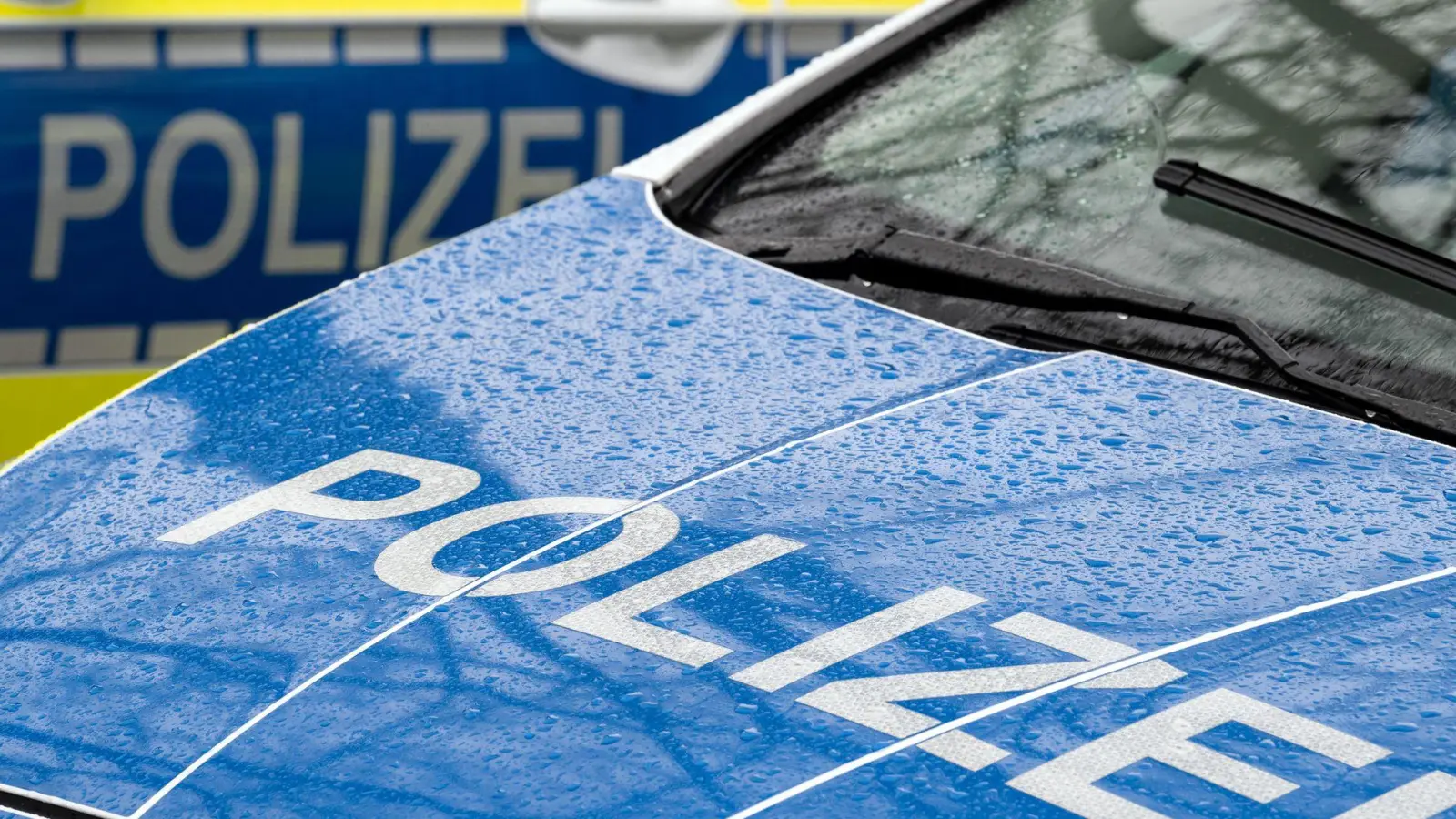 Die Polizei vermutet nicht angepasste Geschwindigkeit in Verbindung mit einem Fahrfehler als Ursache. (Symbolbild) (Foto: Soeren Stache/dpa)
