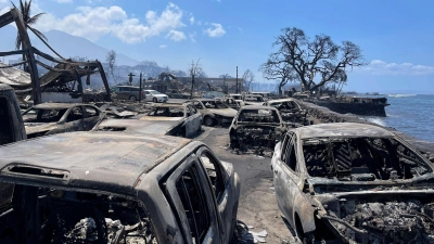 Ausgebrannte Autos stehen nach dem Waldbrand in Lahaina, Hawaii. (Foto: Tiffany Kidder Winn/via AP/dpa)