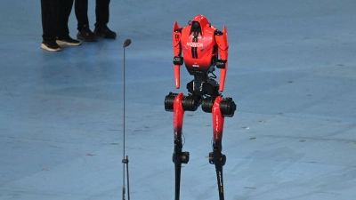 Roboter „Blitz“ hatte bereits im Vorfeld den 100-Meter-Rekord von Usain Bolt unterboten.  (Foto: Johannes Neudecker/dpa)