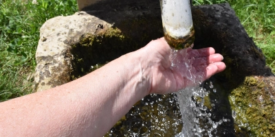 Wasser wird zunehmend zum kostbaren Gut, auch in der Region.  (Symbolbild: Silvia Schäfer)