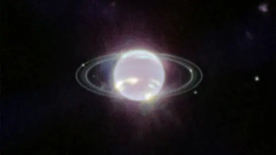 Der Planet Neptun schwebt im Zentrum einiger Ringe. Die Ringe wurden durch den Einsatz der Nahinfrarotkamera (NIRCam) zum ersten Mal seit mehr als drei Jahrzehnten in vollem Fokus sichtbnar. (Foto: Space Telescope Science Institut/ESA/Webb/dpa)