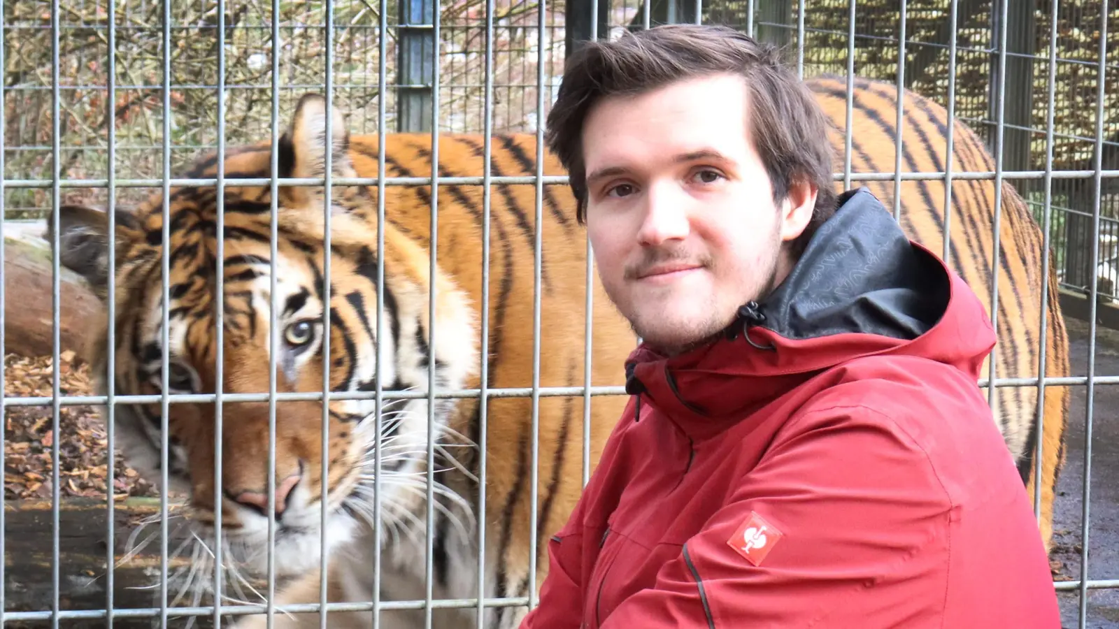 Der Zootierpfleger Benjamin Koch, hier mit Tiger Ussuri, arbeitet seit Dezember in der Auffangstation für wilde Tiere in Not. (Foto: Antonia Müller)