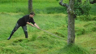Friedrich Sichermann hilft hier einem Bekannten auf dem Bauernhof und holt frisches Gras ein. Wegen der Bäume muss das Futter per Hand auf Schwaden gerecht werden, um es mit dem Ladewagen aufzuladen. (Foto: Barbara Sichermann )