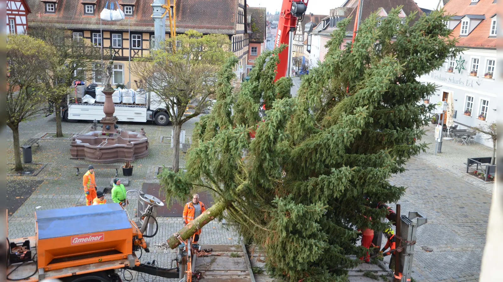 Alle Jahre wieder an Buß- und Bettag wird der Weihnachtsbaum am Marktplatz aufgestellt.  (Foto: Christa Frühwald)