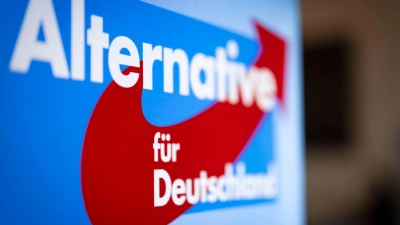 Hacker haben sich Zugang zu E-Mail-Postfächern der AfD verschafft. (Symbolbild) (Foto: Christoph Reichwein/dpa)