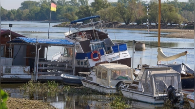 Zu wenig Wasser: Bei Oestrich-Winkel im hessischen Rheingau liegen Sportboote auf dem Grund des Rheins.  (Foto: Thomas Frey/dpa)