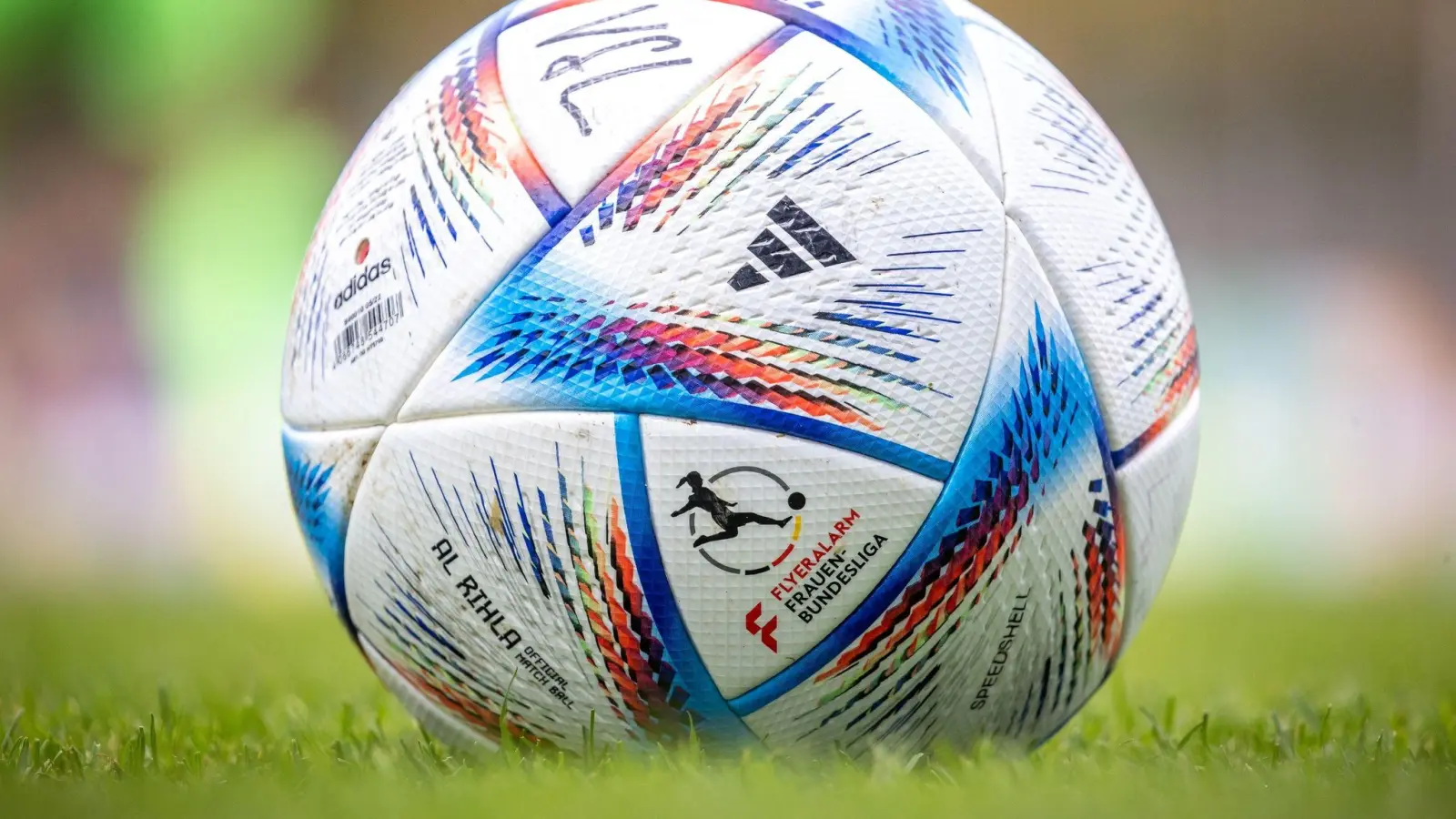 Ein Fußball mit Schriftzug liegt auf dem Rasen bereit. (Foto: Andreas Gora/dpa/Symbolbild)