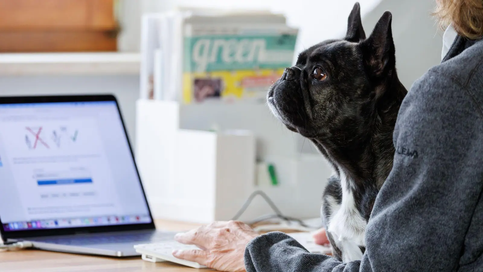 Gut fürs Betriebsklima: Wenn man seinen Hund mit zur Arbeit nehmen kann, profitieren viele Seiten. (Foto: Daniel Karmann/dpa)