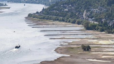 Wegen niedriger Pegelstände ist die Binnenschifffahrt in vielen Flüssen wie hier im Rhein derzeit massiv eingeschränkt. (Foto: Boris Roessler/dpa)