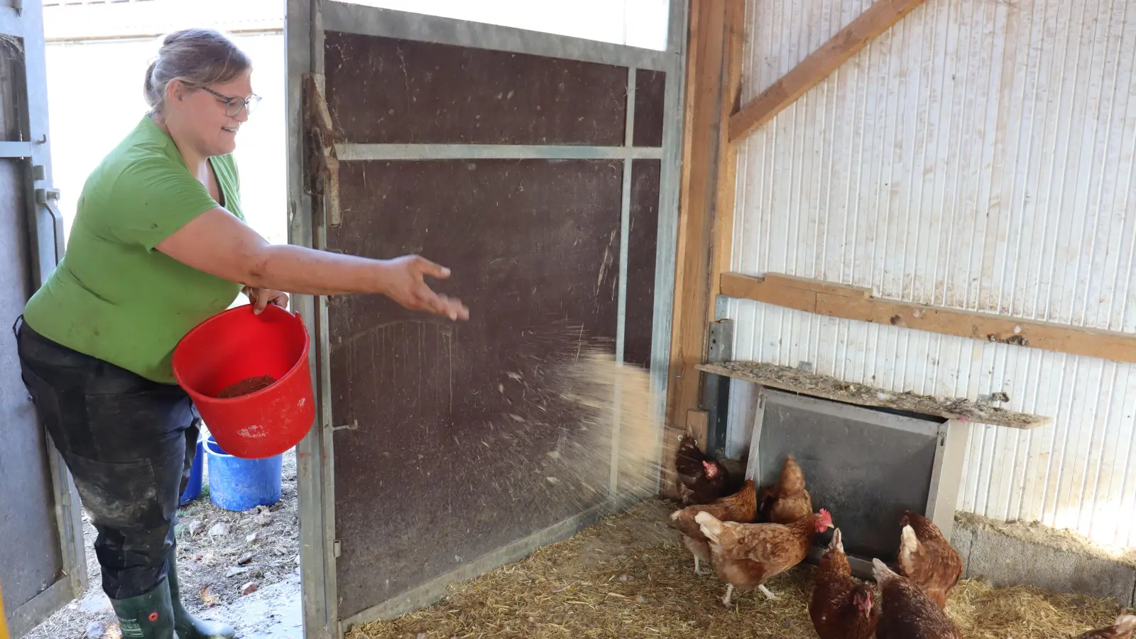 Hier fühlt sich Michaela Schwab besonders wohl: Um die Hühner kümmert sich die 27-Jährige. (Foto: Antonia Müller)