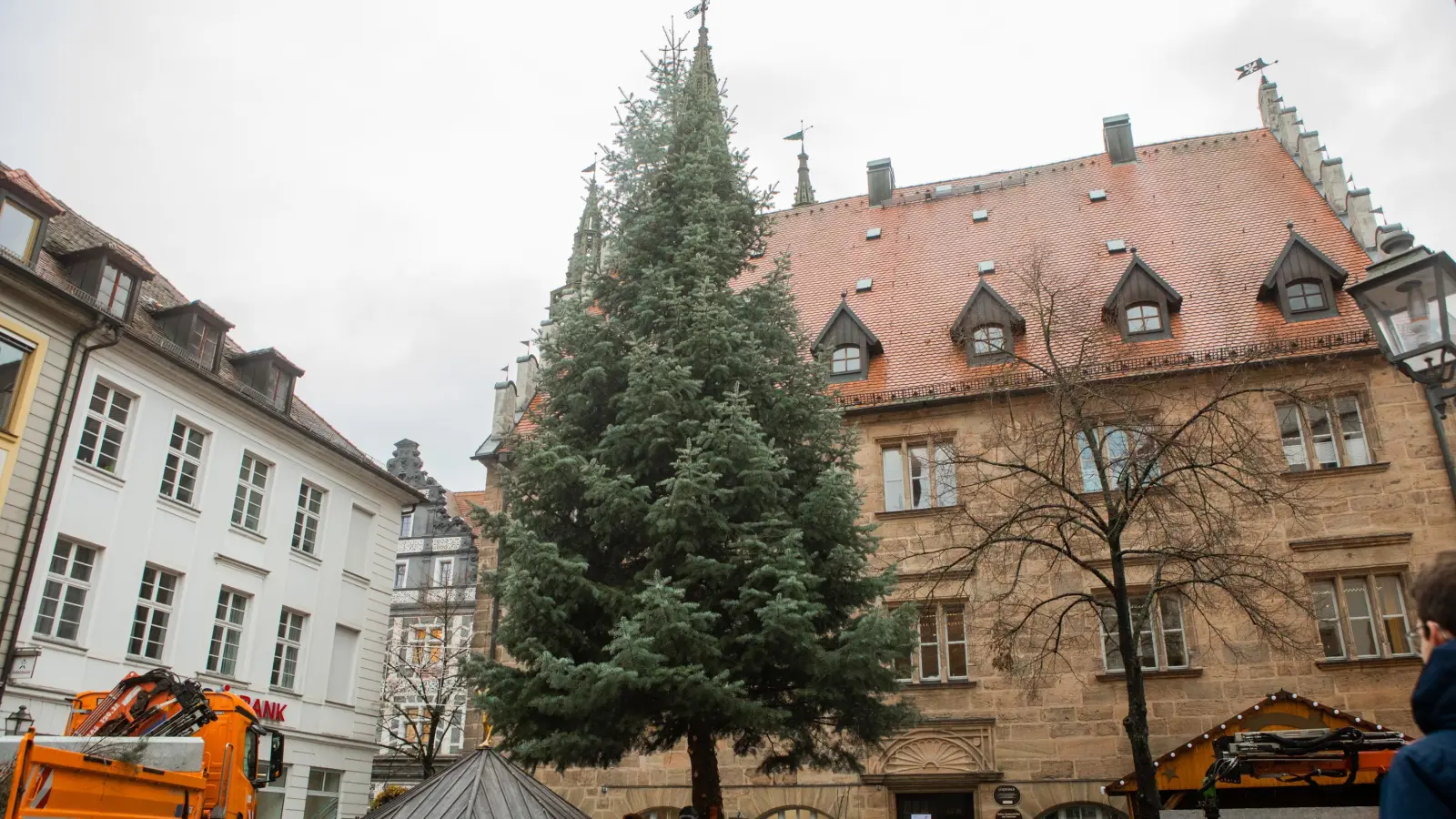 Diese mächtige Tanne, hier noch ungeschmückt, ließ die Stadt voriges Jahr auf dem Martin-Luther-Platz aufstellen. (Archivbild: Evi Lemberger)