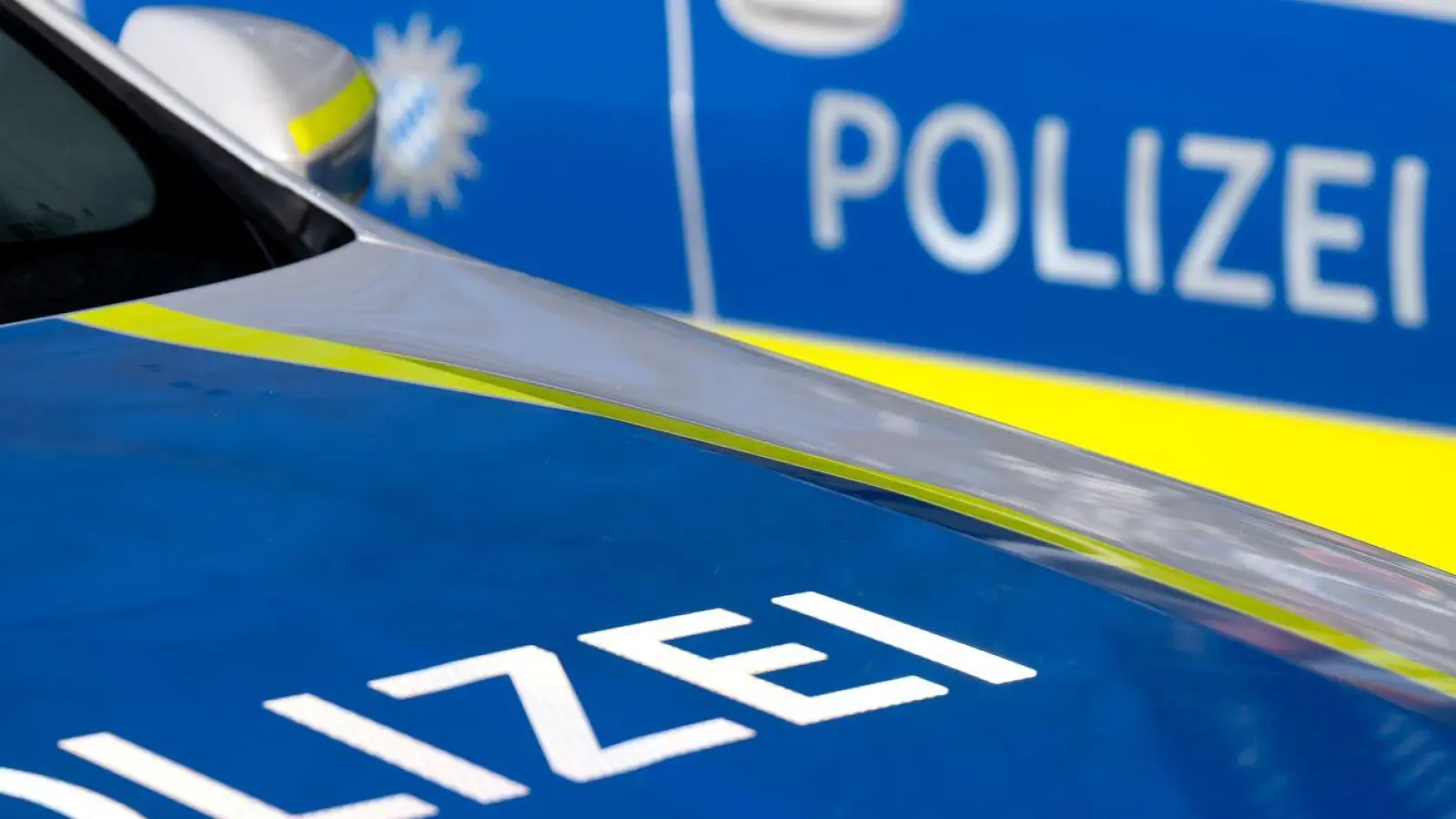 Die Polizei ist nach einem Waffenfund zu einer Wohnungsauflösung in Augsburg ausgerückt. (Symbolbild) (Foto: Sven Hoppe/dpa)