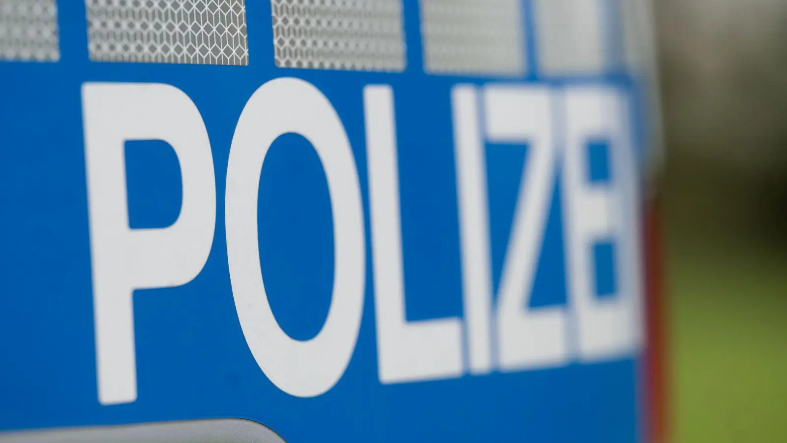 Die Katze wurde durch Schrotkugeln schwer verletzt. (Symbolbild) (Foto: Marijan Murat/dpa)