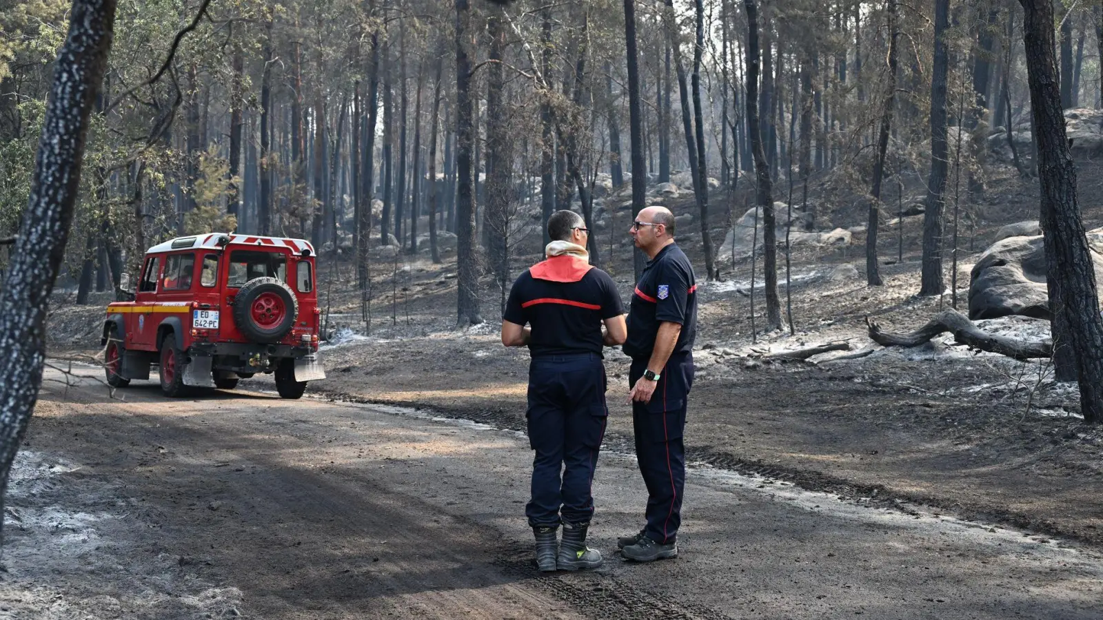 Ein freiwilliger Feuerwehrmann hat eingeräumt, im Wald von Fontainebleau Feuer gelegt zu haben. (Foto: Emma Da Silva/AP/dpa)