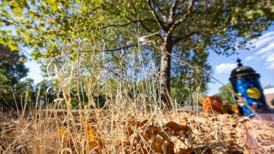 Vertrocknetes Gras und Blätter liegen an einer Grünanlage unter einem Baum. (Foto: Daniel Karmann/dpa/Archivbild)