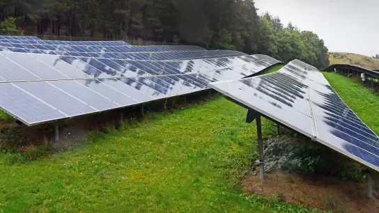 Bisher hat die Stadt Windsbach darauf verzichtet, auf ihrem Gebiet Freiflächen-Photovoltaikanlagen bauen zu lassen. (Foto: Jim Albright)