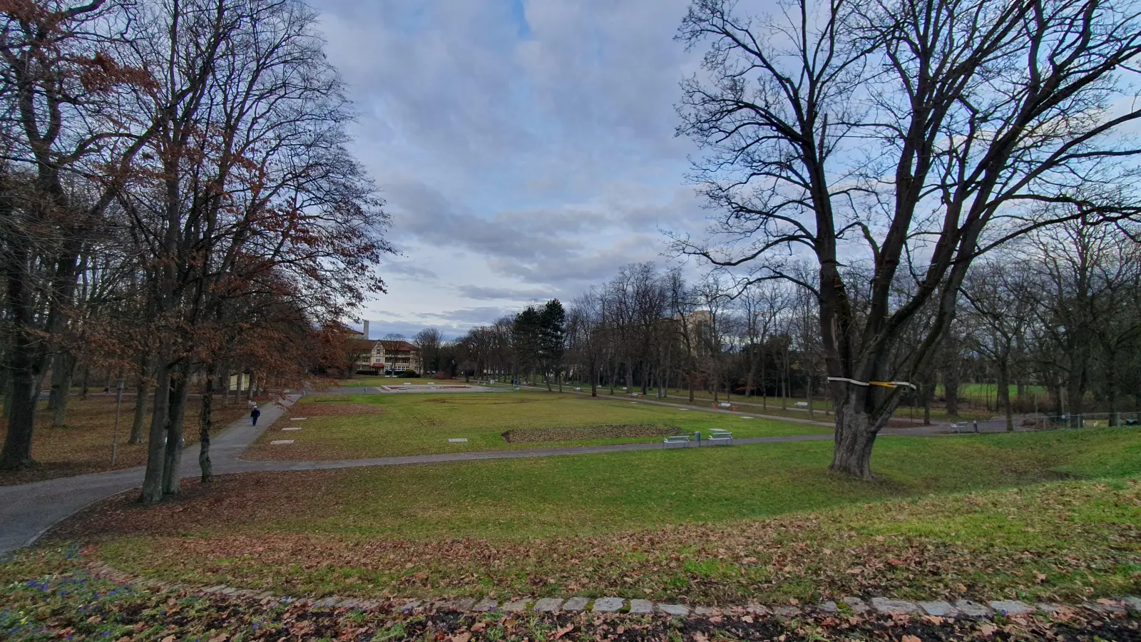 Eine Frau soll am Dienstag im Kurpark in Bad Windsheim einen Rollstuhlfahrer mit einem Messer verletzt haben. Im Raum steht versuchter Mord. (Foto: Anna Franck)