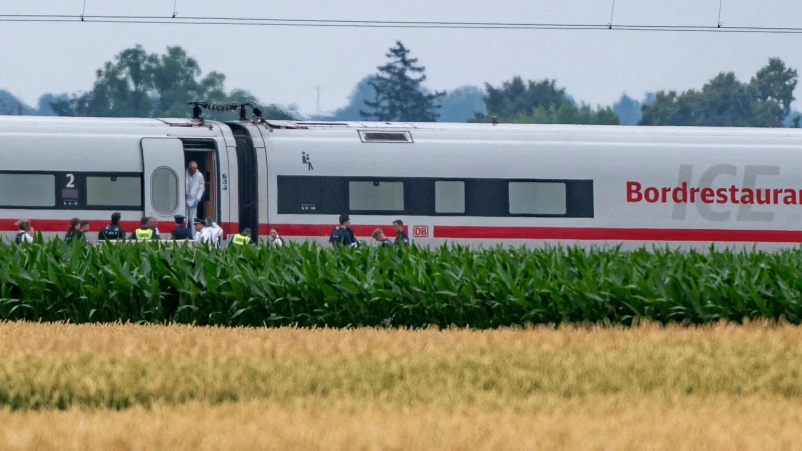 Knapp ein Jahr nach einem Axtangriff in einem ICE in Niederbayern beginnt der Prozess gegen den Beschuldigten. (Archivbild) (Foto: Armin Weigel/dpa)
