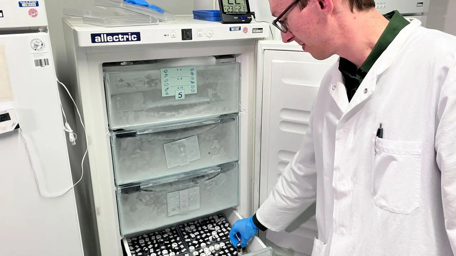 Pestiziduntersuchungen bei Obst und Gemüse zeigen: Die Lebensmittel sind hinsichtlich Rückständen von Pflanzenschutzmitteln sicher - besonders Bio-Produkte. (Foto: Michael Donhauser/dpa)