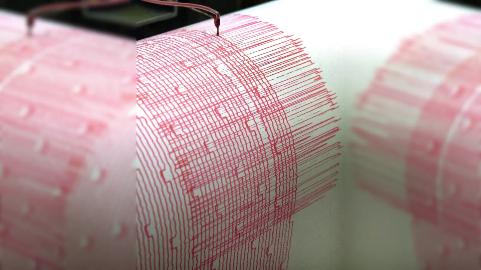 Ein Monitorschreiber zeichnet die Erschütterungen eines Erdbebens auf. (Symbolbild) (Foto: Bernd Thissen/dpa)