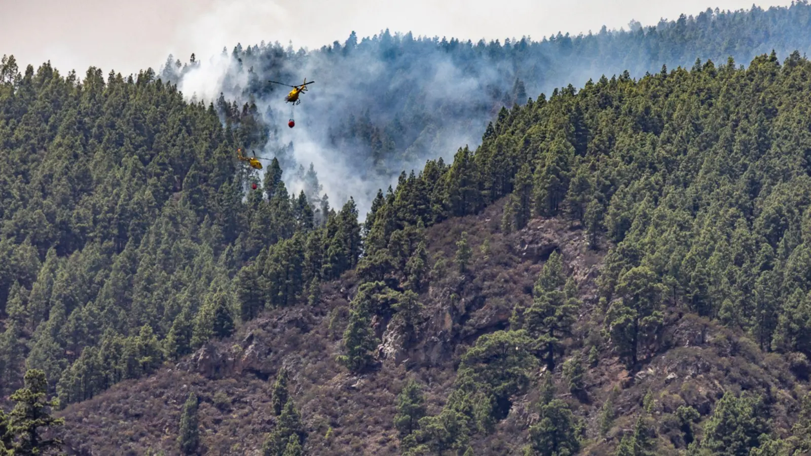Erst im August hatte es einen verheerenden Waldbrand auf der spanischen Urlaubsinsel gegeben. Wie auf dem Bild zu sehen, waren auch Löschhubschrauber im Einsatz. (Archivbild) (Foto: Europa Press/EUROPA PRESS/dpa)