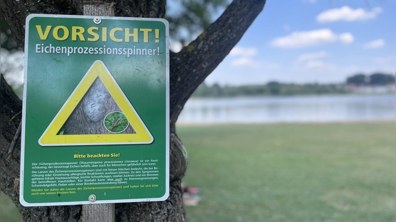 Vorsicht Eichenprozessionsspinner: Wer ein Warnschild (hier am Obernzenner See) sieht, sollte sich nicht weiter nähern und Kinder und Haustiere vom Ort fernhalten. (Foto: Anna Beigel)