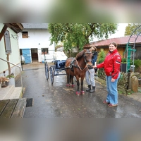 Die Reitschülerinnen Eva und Luisa (vorn) spannen das schwere Warmblut „Smart” an.  (Foto: Astrid Pirner)