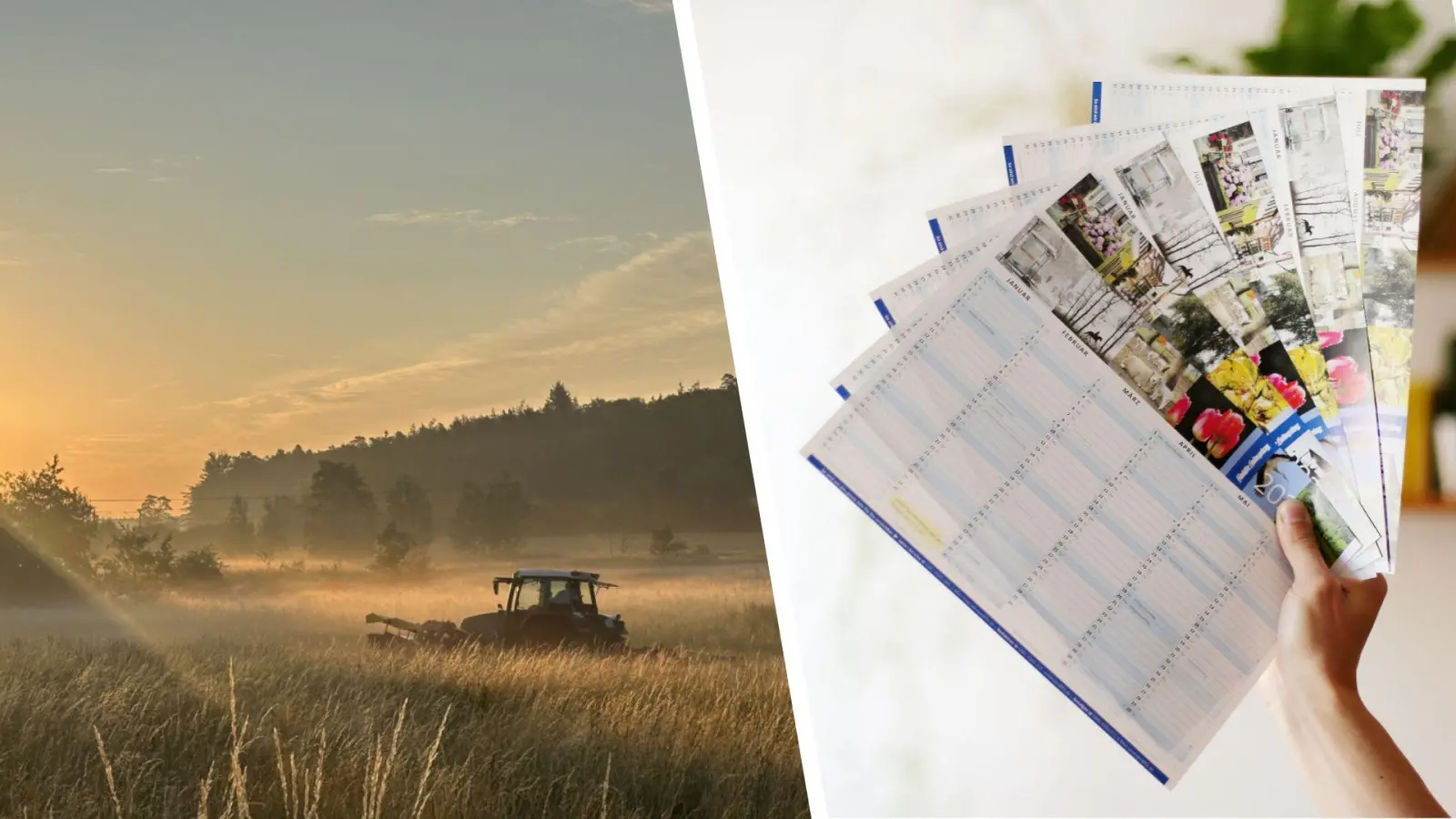 Stimmen Sie mit ab: Welche Fotos aus Westmittelfranken sollen den FLZ-Blattkalender 2026 zieren? (Foto: Richard Eschenbacher-Leibel/Johannes Hirschlach)