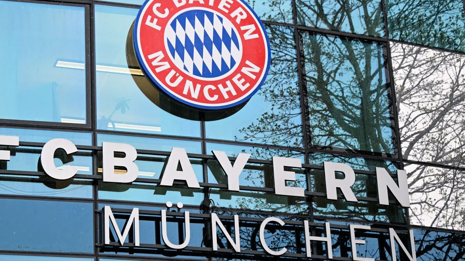 Der FC Bayern hat einen Teenager aus Afrika verpflichtet. (Symbolbild) (Foto: Sven Hoppe/dpa)