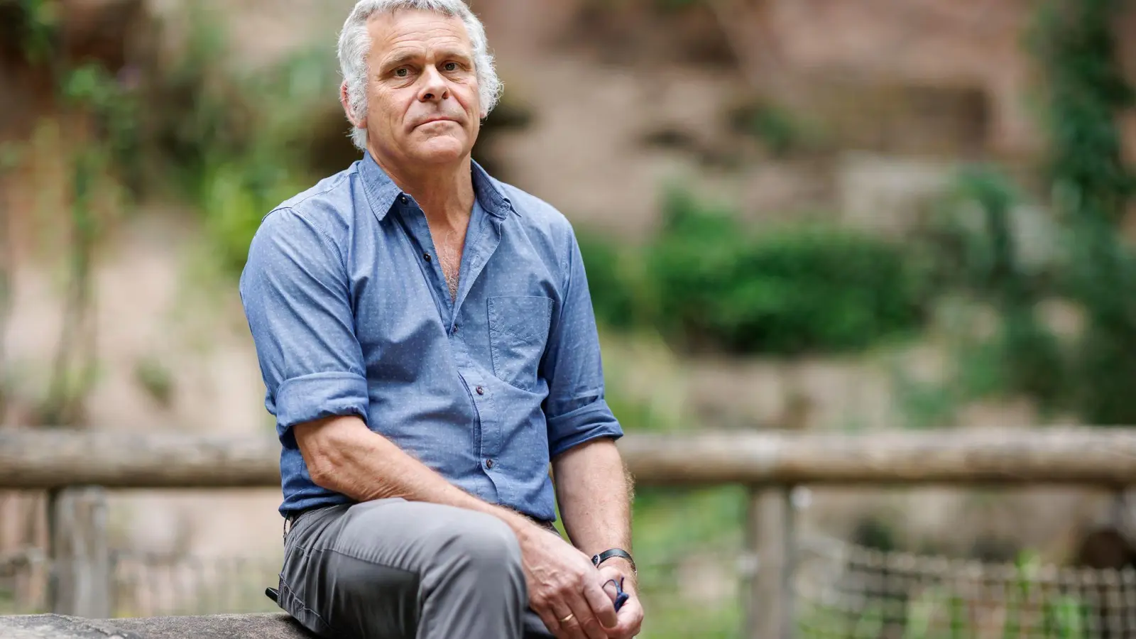 Es sei immer klar gewesen, dass es auf die Tötung der Paviane hinauslaufe, sagte Tiergarten-Direktor Dag Encke. (Archivbild) (Foto: Daniel Karmann/dpa)