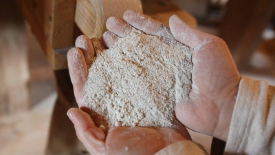 „Öko-Test“ hat 50 Vollkornvarianten von Weizen-, Dinkel- und Roggenmehlen untersucht. (Foto: Bodo Marks/dpa/dpa-tmn)